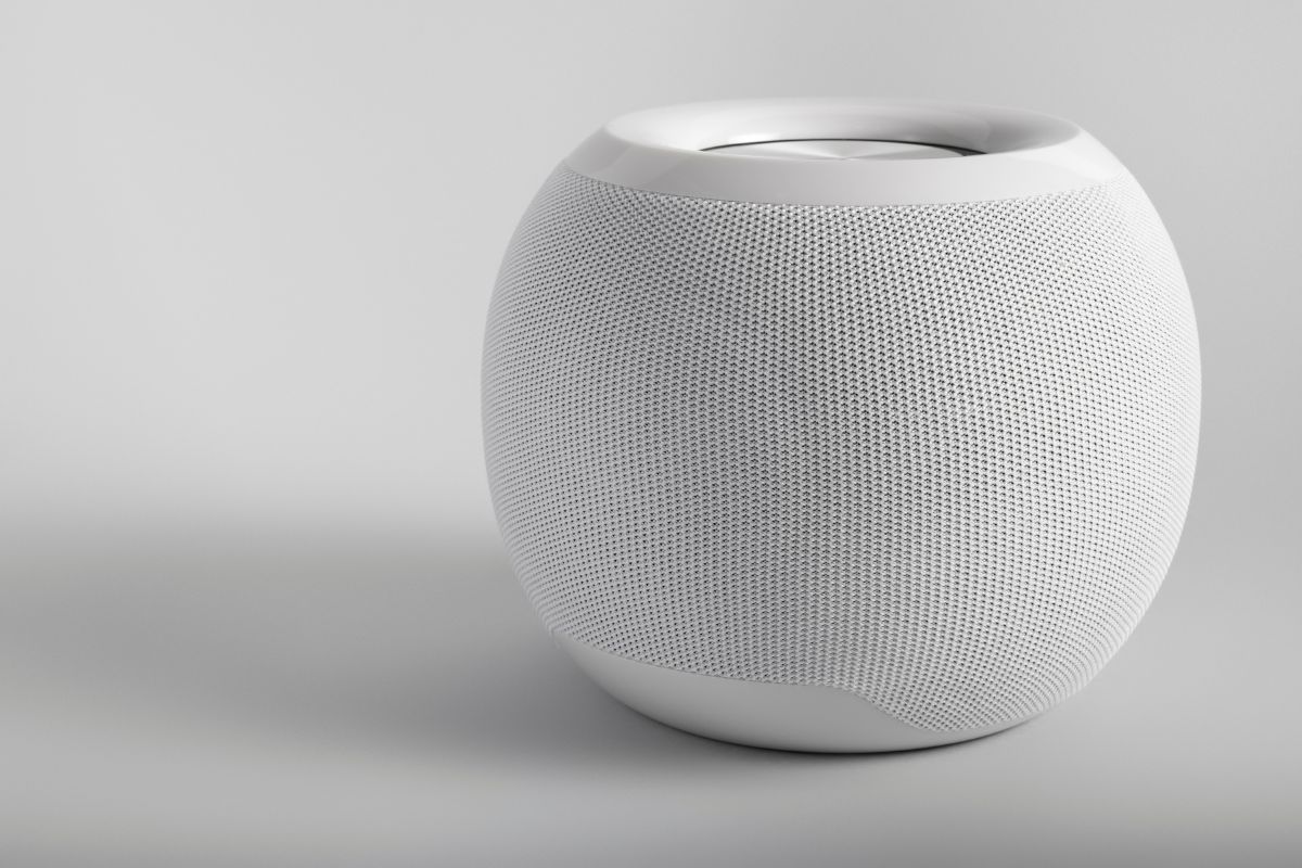 Wonderboom 4
